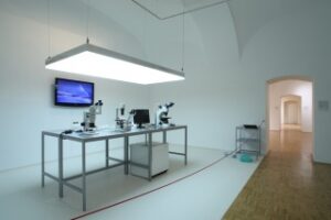 Artist in Residence: Centre for Contemporary Art, Celje