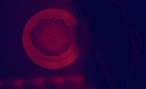 Berlin Science Week: Saša Spačal – TERRA XENOBIOTICA OR HOW TO BELONG