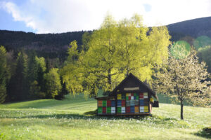 Predavanje in degustacija medu s priznanim slovenskim čebelarjem Francem Šivicem