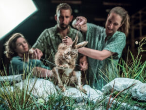 Still Life – Devet poskusov ohranitve življenja