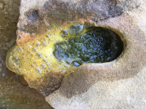 Umetnice in umetniki ljubljanske Akadamije za likovno umetnost in oblikovanje na razstavi Academy Positions